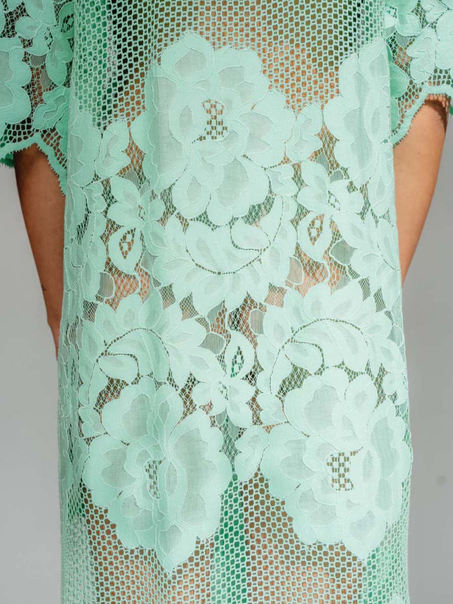Elegant Lace See-through Dress