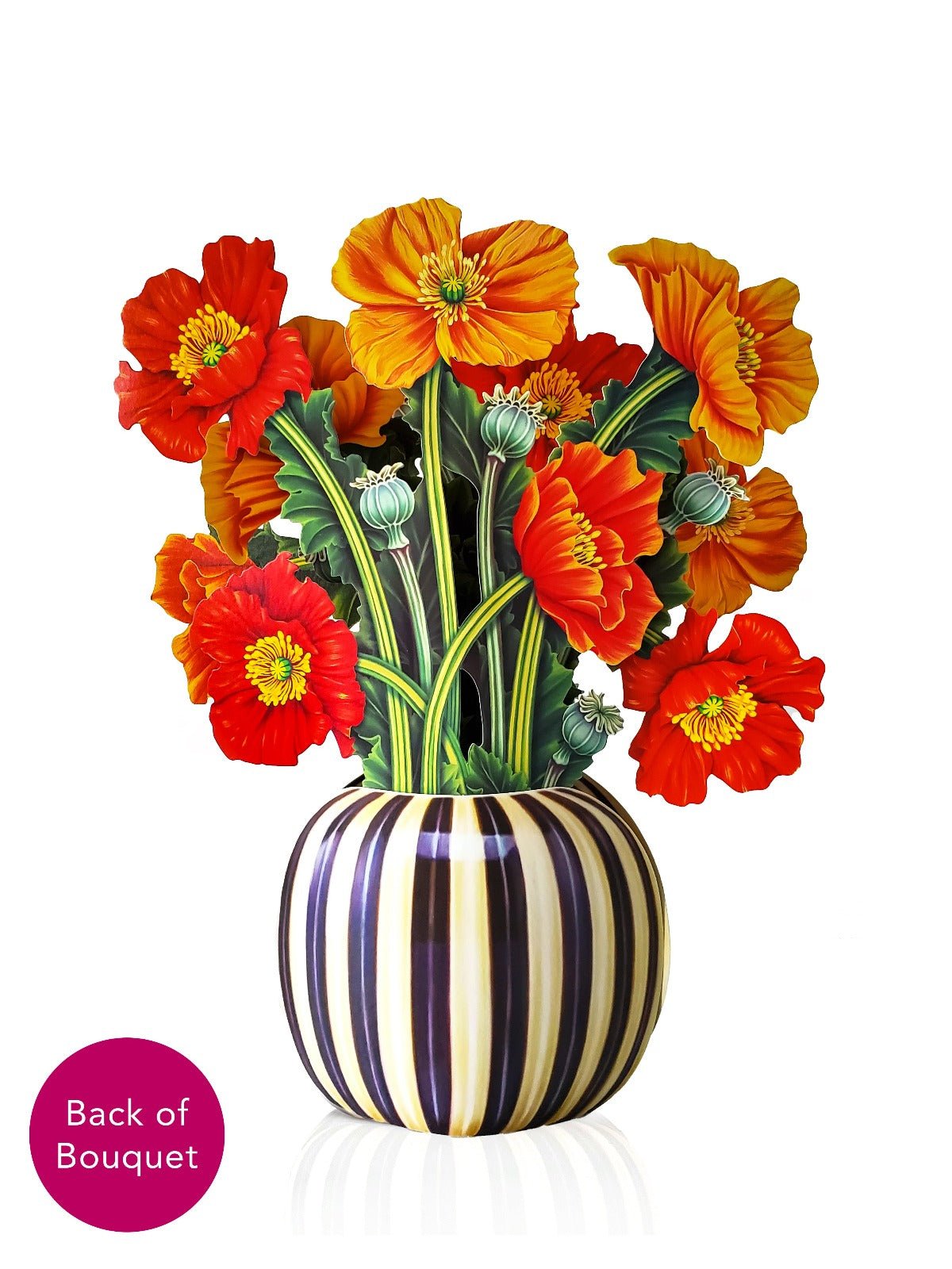 French Poppies