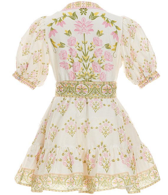 Little Girls 2T-6X Bubble Sleeve Floral Dress