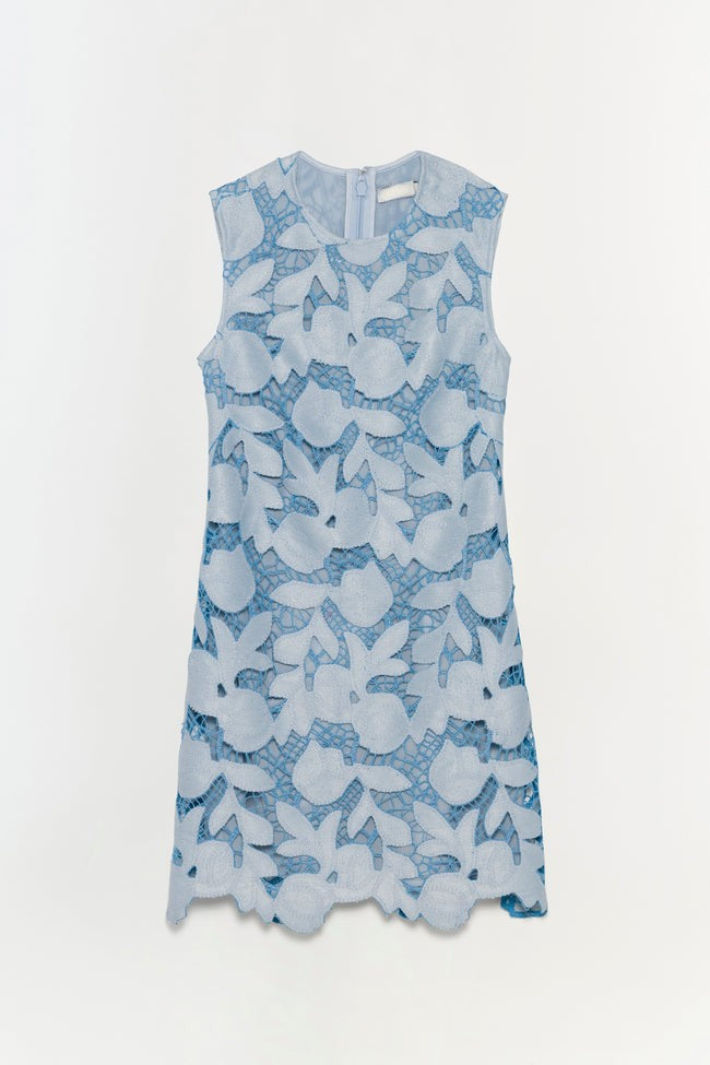 Embroidered Mini Dress