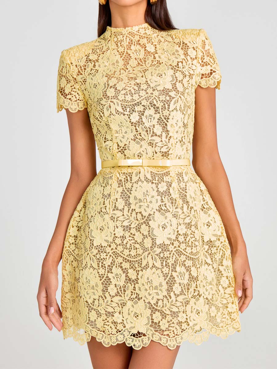 Elegant Lace Bow Belted Mini Dress