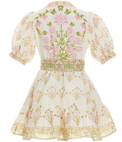 Little Girls 2T-6X Bubble Sleeve Floral Dress