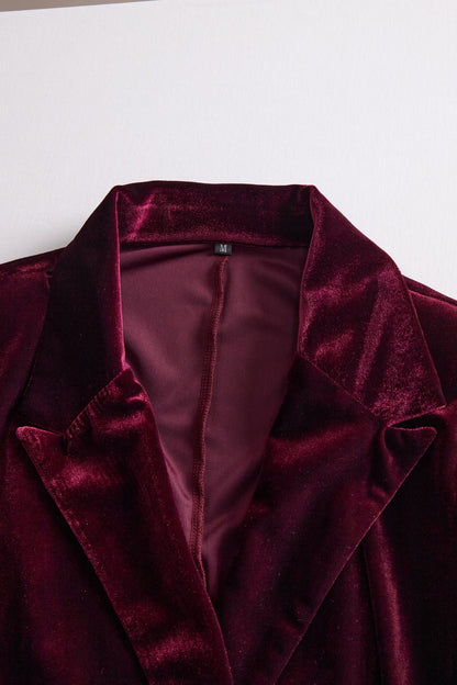 Classic Long-Sleeve Velvet Dress With Gold Accents