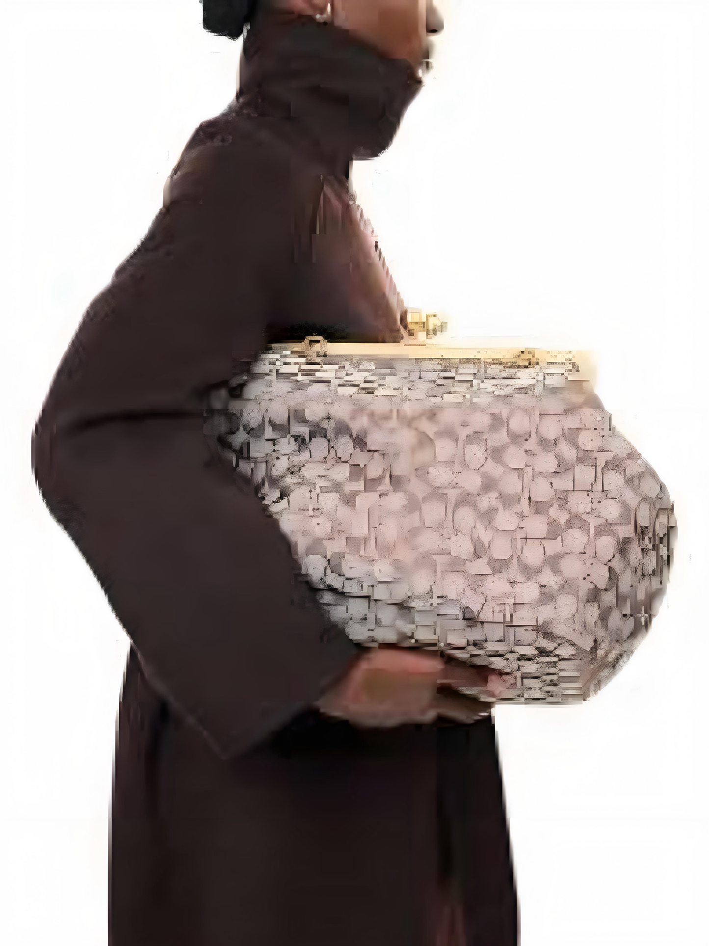 Large Kisslock Frame Bag